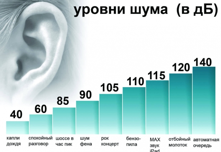 How does sound and noise affect the human body? EstetPortal