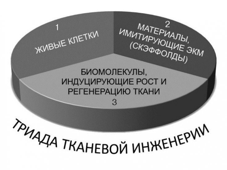 My default image