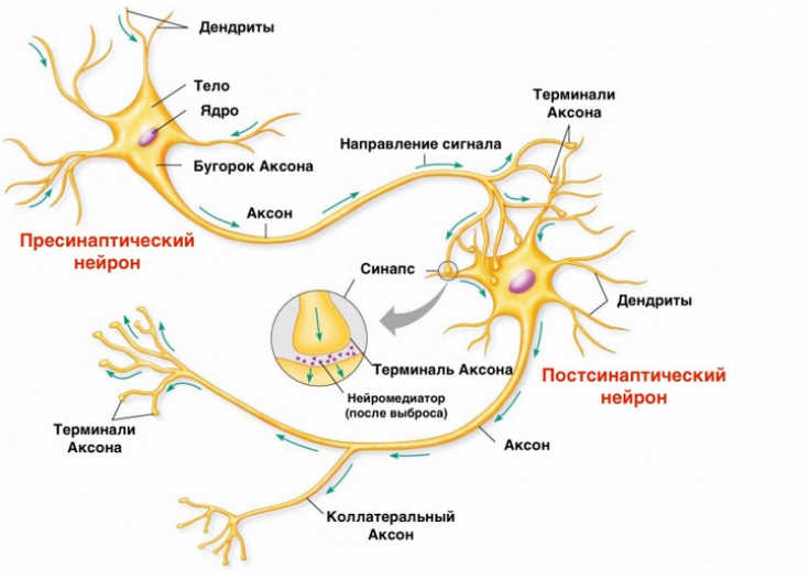 покалывание в руках и ногах