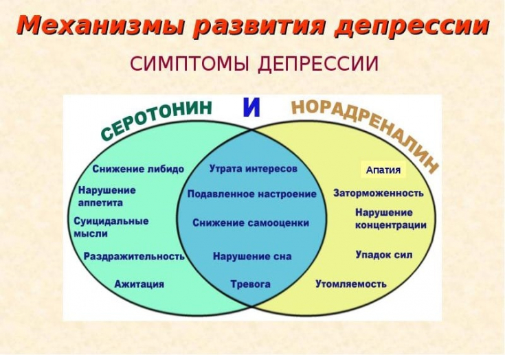 My default image