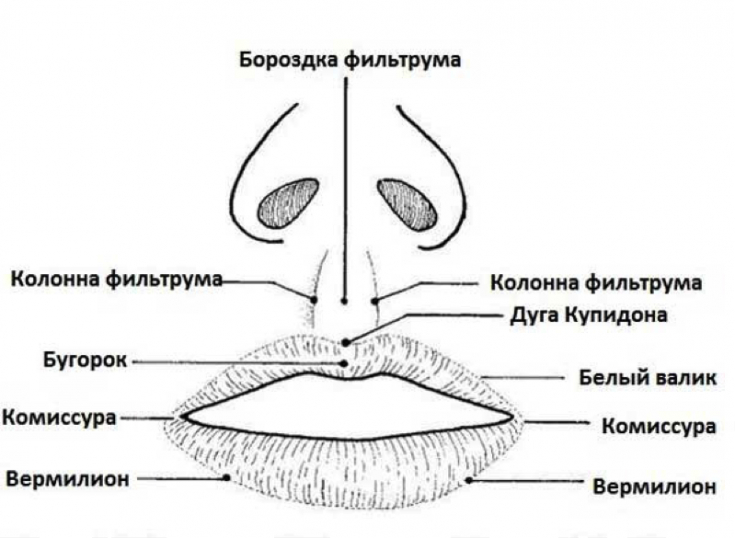 My default image