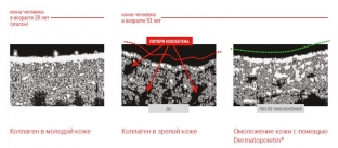 9-prichin-vybrat-peptidnuyu-kosmetiku-evenswiss-dlya-domashnego-ukhoda