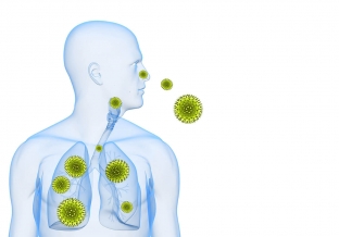 allergiya-ili-prostuda-tipichnye-simptomy-allergicheskogo-rinita