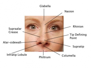 analiz-proportsij-litsa-kak-obyazatelnyj-komponent-rinoplastiki