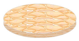 azbuka-kozhi-dlya-kosmetologa-chast-1-stroenie-epidermisa