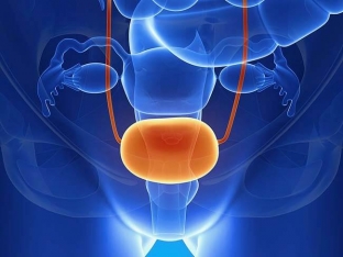 botulotoksin-v-urologii-in-ektsii-botoksa-dlya-lecheniya-samykh-delikatnykh-problem