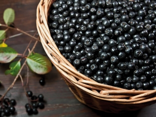dieta-pri-varikoze-samye-poleznye-produkty