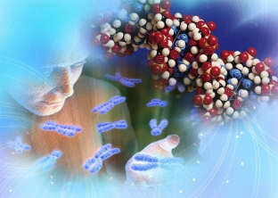 epigenetika-ne-geny-pravyat-chelovekom-a-chelovek-genami