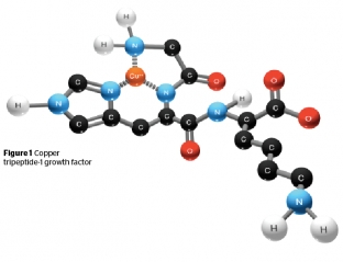 faktor-rosta-tripeptid-medi-1-funktsii-dejstvie-i-primenenie-v-esteticheskoj-meditsine