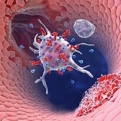 kak-nalichie-antifosfolipidnogo-sindroma-mozhet-povliyat-na-techenie-beremennosti