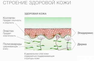 kak-proyavlyaetsya-starenie-kozhi-vneshnie-i-vnutrennie-prichiny-ikh-priznaki