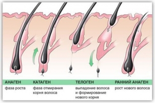 kak-uluchshit-sostoyanie-volos-anti-age-ukhod