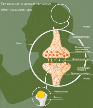 kakaya-svyaz-mezhdu-urovnem-serotonina-i-razvitiem-depressii