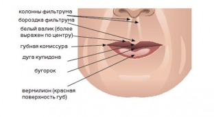 korrektsiya-gub-gialuronovoj-kislotoj-kak-poluchit-estestvennyj-rezultat-i-izbezhat-oslozhnenij
