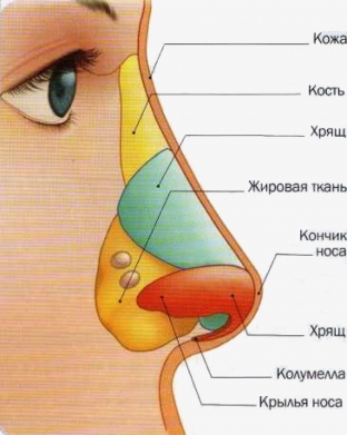 korrektsiya-nosa-fillerami-pochemu-vazhen-vybor-preparata-i-instrumenta-dlya-protsedury