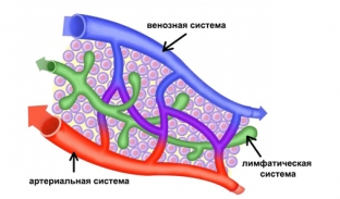 mesoeye-c71-innovatsionnyj-preparat-dlya-korrektsii-esteticheskikh-problem-periorbitalnoj-oblasti