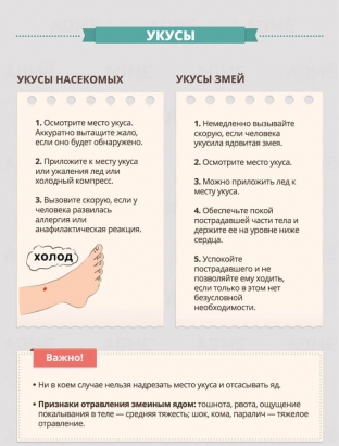 naglyadno-o-vazhnom-okazanie-pervoj-pomoshchi-v-kartinkakh