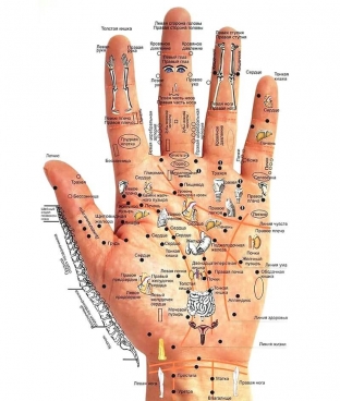 opredelyaem-bolezni-po-rukam-tsvet-temperatura-i-forma