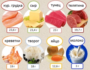 osnovnye-istochniki-belkov-o-kotorykh-obyazatelno-nuzhno-znat