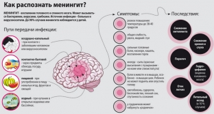 osobo-opasen-priznaki-meningita-u-vzroslykh