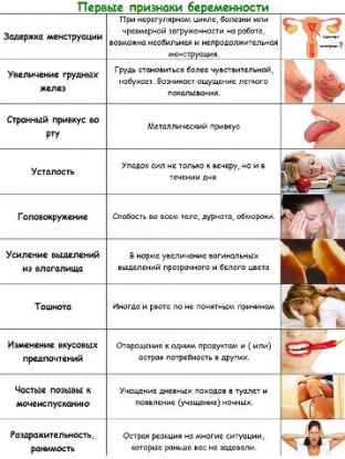 pervye-priznaki-beremennosti-o-kotorykh-mnogie-ne-znayut