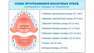 poryadok-prorezyvaniya-molochnykh-zubov-vozmozhnye-izmeneniya-zubov-u-detej