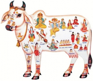 praktika-ekadashi-sukhoe-golodanie-odnogo-dnya