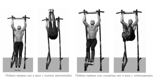 press-kak-u-arnolda-shvartseneggera-vsego-za-odnu-trenirovku