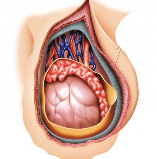 prichiny-simptomy-i-opasnye-posledstviya-epididimita