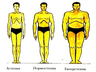 psikhotipy-lichnosti-v-zavisimosti-ot-teloslozheniya-astenik-normostenik-giperstenik