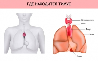 put-k-absolyutnoj-lyubvi-kak-aktiviruetsya-vysshee-serdtse