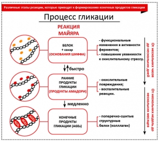 rol-konechnykh-produktov-glikatsii-v-prezhdevremennom-starenii-kozhi