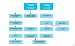 sovremennaya-kontseptsiya-korrektsii-stareniya-kozhi