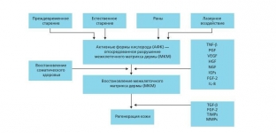 sovremennaya-kontseptsiya-korrektsii-stareniya-kozhi