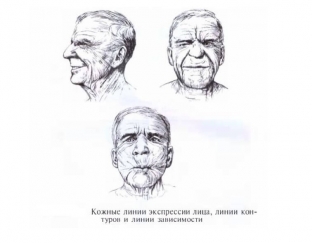 tonkij-rubets-posle-plasticheskikh-operatsij-kak-dobitsya-takogo-rezultata