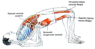 uskorit-obmen-veshchestv-pri-pomoshchi-jogi-5-asan