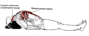 uskorit-obmen-veshchestv-pri-pomoshchi-jogi-5-asan