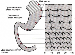 vredno-li-pit-vodu-vo-vremya-edy