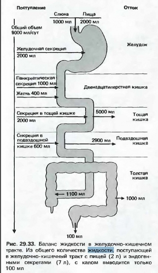 vredno-li-pit-vodu-vo-vremya-edy