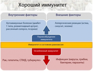 zavisit-li-immunitet-ot-chastoty-vozniknoveniya-boleznej
